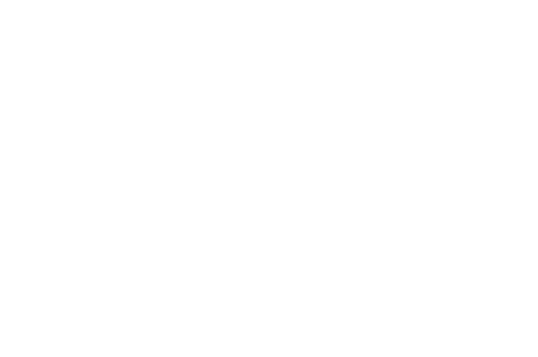 BEST EXPERIMENTAL - Feel The Reel International Film Festival - 2025 (1)